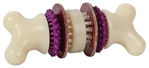 PetSafe Busy Buddy Bristle Bone Kauspielzeug für Hunde, Mit Snack-Ringen aus Rohhaut, Spühlmaschinenfest, Größe M PetSafe Busy Buddy Bristle Bone Kauspielzeug für Hunde, Mit Snack-Ringen aus Rohhaut, Spühlmaschinenfest, Größe M von PetSafe