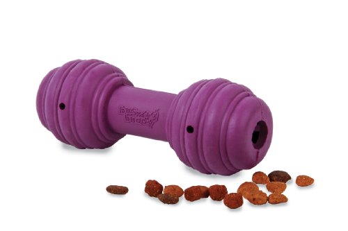 PetSafe Busy Buddy Hundespielzeug Chuckle, befüllbarer Snackball, Zahnpflege für Hunde, animierendes Geräusch von PetSafe