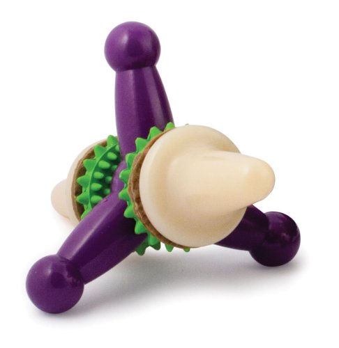 PetSafe Busy Buddy Jack Hundespielzeug von PetSafe