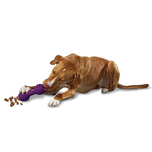 PetSafe Busy Buddy Kauspielzeug für Hunde mit Chuckle-Sound, Leckerli-Spender, BB-CHK, Violett, Größe M/L von PetSafe