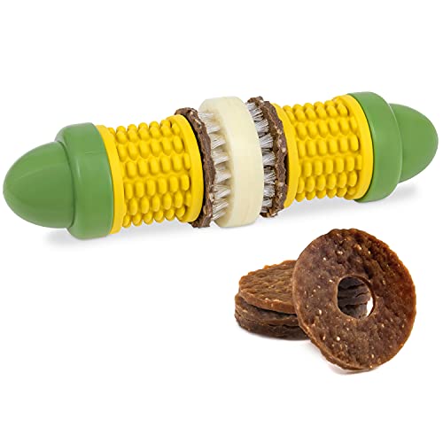 PetSafe Busy Buddy Maiskolben Kauspielzeug mit Leckerli-Ringen für Hunde, BPA-freier Naturkautschuk, Größe M/L von PetSafe