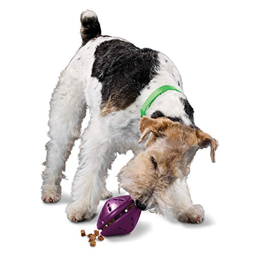 PetSafe Busy Buddy Twist 'n Treat Spenderspielzeug für Hunde, mittelgroß, Violett von PetSafe