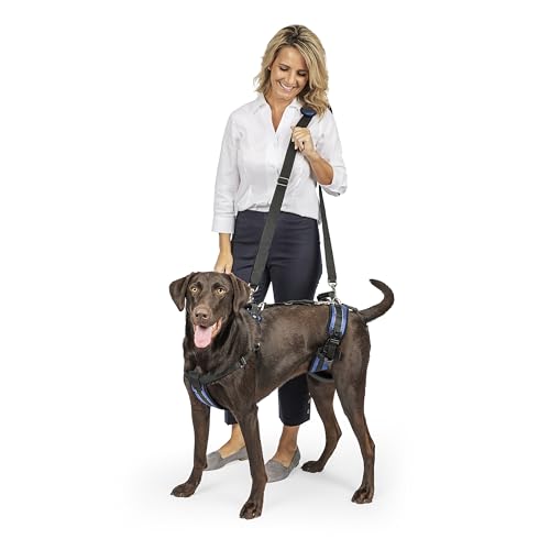 PetSafe CareLift Hebegeschirr für Hunde, Ganzkörperhebehilfe mit Griff und Schultergurt, Brust- und Hüfthebung, Größe L von PetSafe