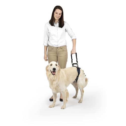 PetSafe CareLift Hüft-Hebegeschirr für Hunde, Hebehilfe mit Griff und Schultergurt zur Hüftunterstützung, Größe L von PetSafe