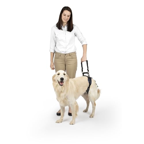 PetSafe CareLift Hüft-Hebegeschirr für Hunde, Hebehilfe mit Griff und Schultergurt zur Hüftunterstützung, Größe L PetSafe CareLift Hüft-Hebegeschirr für Hunde, Hebehilfe mit Griff und Schultergurt zur Hüftunterstützung, Größe L von PetSafe