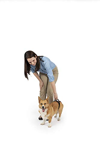 PetSafe CareLift Hinteres Stützgeschirr - Hebehilfe mit Griff - Ideal für Haustier-Mobilität und ältere Hunde - Bequemes, atmungsaktives Material - Einfach einzustellen - Klein, Rot von PetSafe