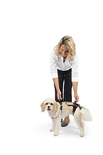 PetSafe CareLift Stützgeschirr – Ganzkörper-Hebehilfe mit Griff – ideal für die Mobilität von Haustieren und ältere Hunde – bequemes, atmungsaktives Material – einfach zu verstellen, Größe S PetSafe CareLift Stützgeschirr – Ganzkörper-Hebehilfe mit Griff – ideal für die Mobilität von Haustieren und ältere Hunde – bequemes, atmungsaktives Material – einfach zu verstellen, Größe S von PetSafe