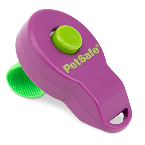 PetSafe Clik-R Trainingstool, Klicker zur Hundeerziehung, Für Welpen ab 8 Wochen geeignet, Keine Batterien nötig, 1 Stück (1er Pack) von PetSafe