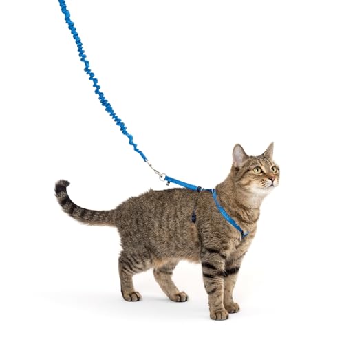 PetSafe Come with Me Kitty Geschirr und Bungee-Leine, Geschirr für Katzen, Größe M, Königsblau/Marineblau von PetSafe