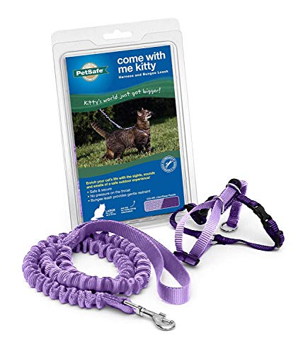 PetSafe Come with Me Kitty Geschirr und Bungee-Leine, Geschirr für Katzen, groß, Flieder/helles Violett von PetSafe