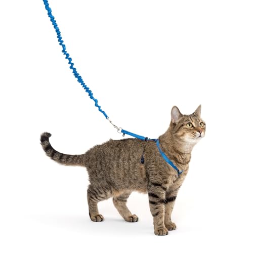 PetSafe Come with Me Kitty Geschirr und Bungee-Leine, Größe M, Königsblau PetSafe Come with Me Kitty Geschirr und Bungee-Leine, Größe M, Königsblau von PetSafe