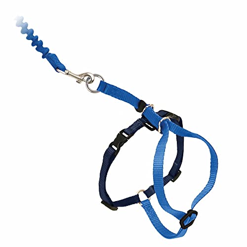 PetSafe Easy Walk Katzengeschirr, Mit elastischer Bungee-Leine, Für Spaziergänge mit Ihrer Katze, Größe L, Blau von PetSafe