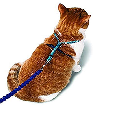 PetSafe Come with Me Kitty Glitter Harness and Bungee Cat Leash, Large von PetSafe