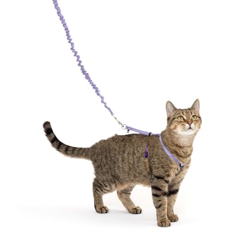 PetSafe Come with Me Kitty Geschirr und Bungee Katzenleine, Größe M, Lila von PetSafe