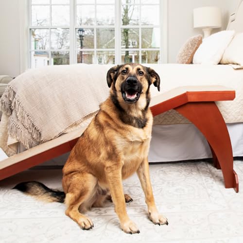 PetSafe Solvit Bettrampe, erreicht die meisten Betten, unterstützt bis zu 54 kg Haustiere, Hunde- und Katzenzugang für Schlafzimmer, rutschfeste Teppich-Traktion, Kirschrot von PetSafe