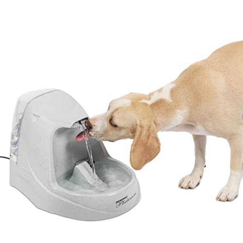 PetSafe Drinkwell Trinkbrunnen Platin, Filtert Wasser für Hunde und Katzen, BPA-freier Kunststoff, 5 L Fassungsvermögen, 1 Stück (1er Pack) PetSafe Drinkwell Trinkbrunnen Platin, Filtert Wasser für Hunde und Katzen, BPA-freier Kunststoff, 5 L Fassungsvermögen, 1 Stück (1er Pack) von PetSafe