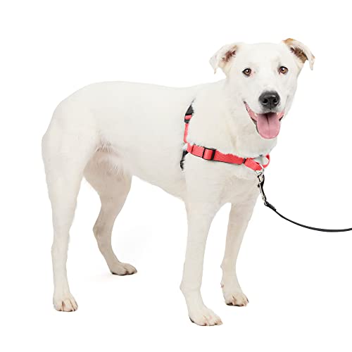 PetSafe Deluxe Easy Walk Hundegeschirr PetSafe Deluxe Easy Walk Hundegeschirr von PetSafe