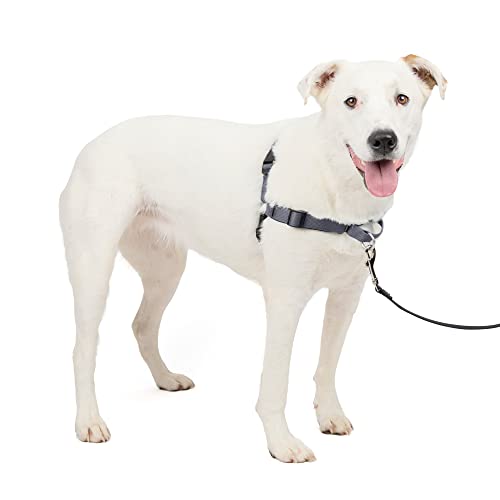 PetSafe Deluxe Easy Walk Hundegeschirr PetSafe Deluxe Easy Walk Hundegeschirr von PetSafe
