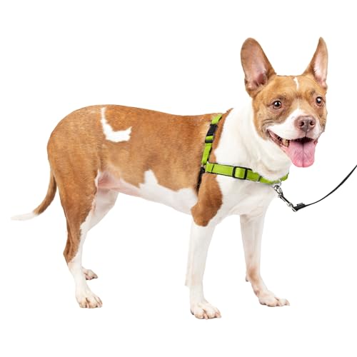 PetSafe Deluxe Easy Walk Hundegeschirr von PetSafe