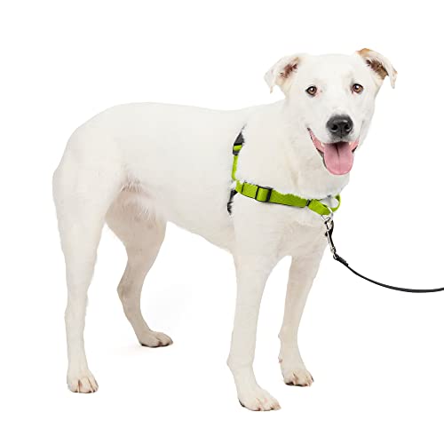 PetSafe Deluxe Easy Walk Hundegeschirr PetSafe Deluxe Easy Walk Hundegeschirr von PetSafe