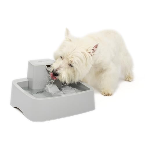 PetSafe Drinkwell Wasserbrunnen für Hunde und Katzen, ideal für mittelgroße Hunderassen und mehrere Katzenhaushalte, leicht zu reinigendes Design, Filter im Lieferumfang enthalten von PetSafe
