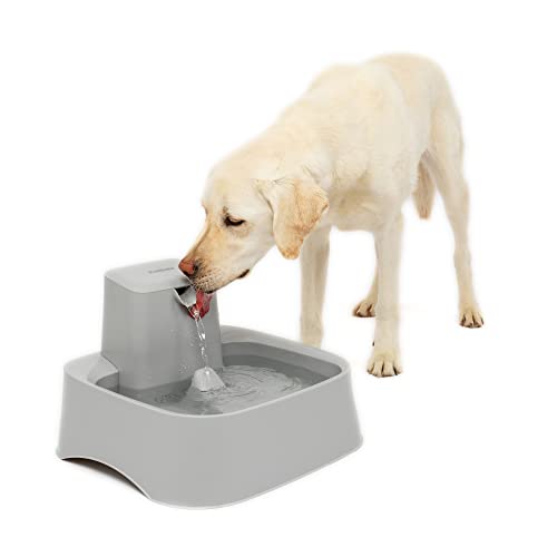 PetSafe Drinkwell Wasserbrunnen für Katzen, Hunde oder mehrere Haustiere – Automatischer Wassernapf – Pumpe und Wasserfilter im Lieferumfang enthalten – spülmaschinenfest – leicht zu reinigender von PetSafe