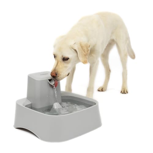 PetSafe Drinkwell Wasserbrunnen für Katzen, Hunde oder mehrere Haustiere – Automatischer Wassernapf – Pumpe und Wasserfilter im Lieferumfang enthalten – spülmaschinenfest – leicht zu reinigender von PetSafe