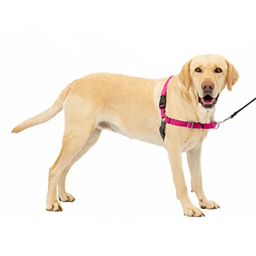 PetSafe Easy Walk-Geschirr, Anti-Zieh-Hundegeschirr, Verringert Würgen und Husten, Mit 1,8 M Leine, Größe L, Rosa von PetSafe