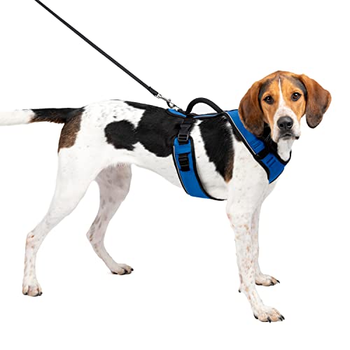 PetSafe EasySport Hundegeschirr, Komplett gepolstert mit elastischem Halsteil, Für Hunde von 29,5-36 kg, Größe L, Blau von PetSafe