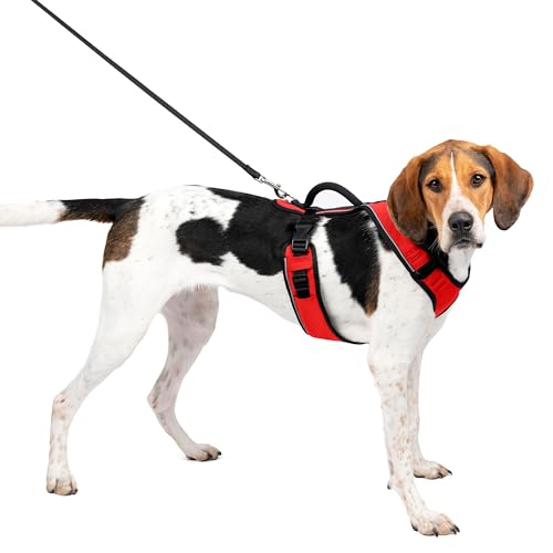 PetSafe EasySport Hundegeschirr, Komplett gepolstert mit elastischem Halsteil, Für Hunde von 29,5 kg bis 36 kg, Größe L, Rot PetSafe EasySport Hundegeschirr, Komplett gepolstert mit elastischem Halsteil, Für Hunde von 29,5 kg bis 36 kg, Größe L, Rot von PetSafe
