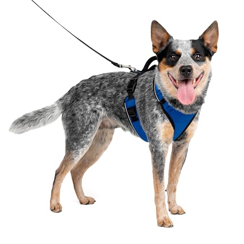 PetSafe EasySport Geschirr, Elastischer Halsausschnitt, Gepolsterter Griff, Für Hunde von 11,3 kg bis 22,5 kg, Größe M, Blau von PetSafe