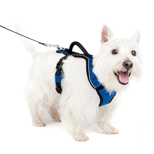 PetSafe EasySport Hundegeschirr, Komplett gepolstert mit elastischem Halsteil, Für Hunde von 9-16,5 kg, Größe S, Blau PetSafe EasySport Hundegeschirr, Komplett gepolstert mit elastischem Halsteil, Für Hunde von 9-16,5 kg, Größe S, Blau von PetSafe
