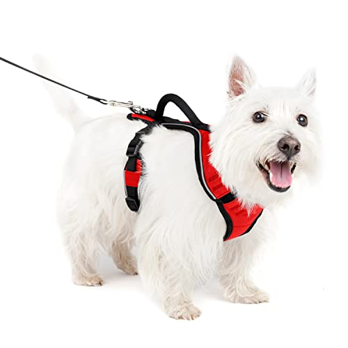PetSafe EasySport Hundegeschirr, Komplett gepolstert mit elastischem Halsteil, Für Hunde von 9-16,5 kg, Größe S, Rot von PetSafe