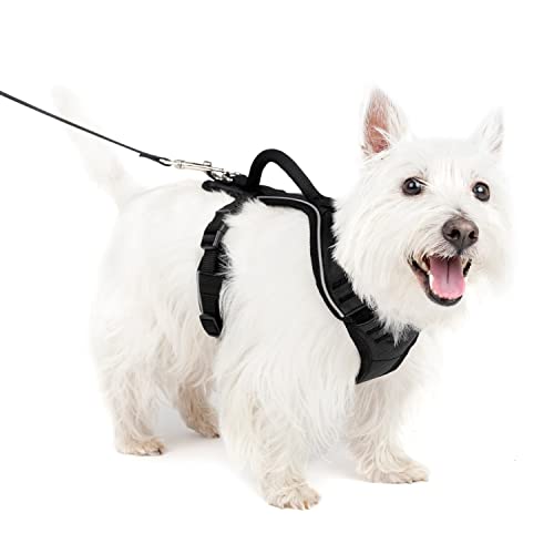 PetSafe EasySport Hundegeschirr, Komplett gepolstert mit elastischem Halsteil, Für Hunde von 9-16,5 kg, Größe S, Schwarz von PetSafe