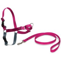 PetSafe Easy Walk Anti-Zieh-Hundegeschirr himbeere L PetSafe Easy Walk Anti-Zieh-Hundegeschirr himbeere L von PetSafe