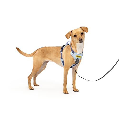 PetSafe Easy Walk Comfort No-Pull Hundegeschirr, Ganzkörperpolsterung – bessere Spaziergänge bei der 1. Verwendung – 5 Punkte Anpassung, XS, kleine, mittelgroße und große Hunde, Blau/Schwarz/Grün/Rosa von PetSafe