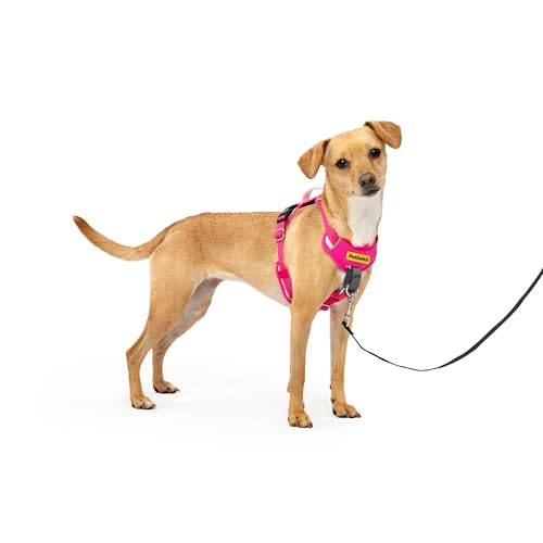 PetSafe Easy Walk Comfort No-Pull Hundegeschirr, Ganzkörperpolsterung – bessere Spaziergänge bei der 1. Verwendung – 5 Punkte Anpassung, XS, kleine, mittelgroße und große Hunde, Blau/Schwarz/Grün/Rosa von PetSafe