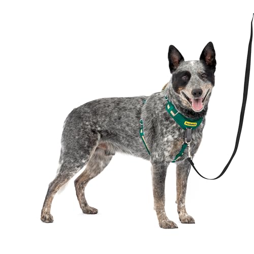 PetSafe Easy Walk Comfort No-Pull Hundegeschirr, Ganzkörperpolsterung – bessere Spaziergänge bei der ersten Verwendung – 5 Anpassungspunkte, M/L, Grün von PetSafe
