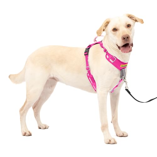 PetSafe Easy Walk Comfort No-Pull Hundegeschirr, Ganzkörperpolsterung – bessere Spaziergänge bei der ersten Verwendung – 5-fache Verstellpunkte, L, Rosa von PetSafe