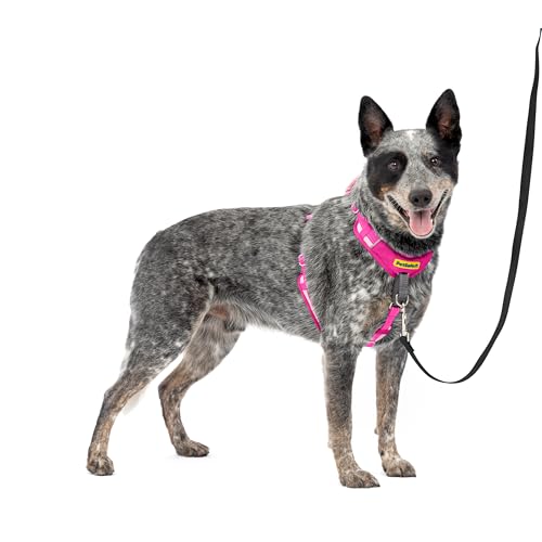 PetSafe Easy Walk Comfort No-Pull Hundegeschirr, Ganzkörperpolsterung – bessere Spaziergänge beim ersten Gebrauch – 5 Verstellpunkte, M/L, Rosa PetSafe Easy Walk Comfort No-Pull Hundegeschirr, Ganzkörperpolsterung – bessere Spaziergänge beim ersten Gebrauch – 5 Verstellpunkte, M/L, Rosa von PetSafe
