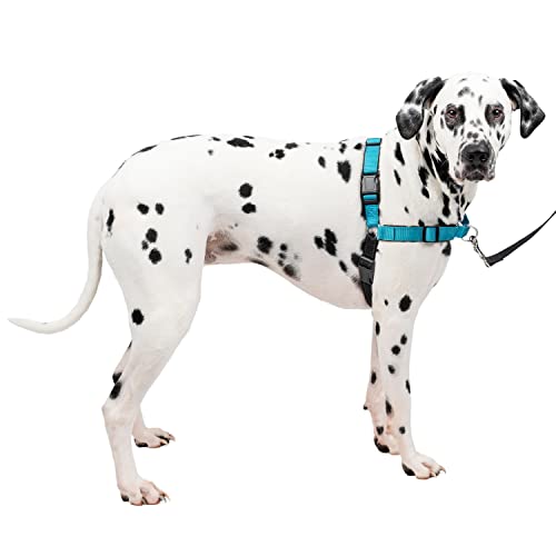 PetSafe Easy Walk Deluxe-Geschirr, reißfestes Gehgeschirr für Hunde, gepolstertes Design, inkl. 1,8 m Leine, Large-Ozeanblau/Schwarz von PetSafe