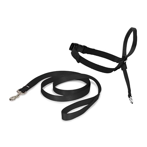 PetSafe Easy Walk Halfter, Hundeleine zum Ziehen, verstellbare Passform, bequem, Größe S, Schwarz PetSafe Easy Walk Halfter, Hundeleine zum Ziehen, verstellbare Passform, bequem, Größe S, Schwarz von PetSafe