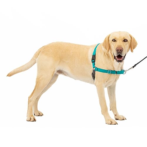 PetSafe Easy Walk Hundegeschirr, kein Ziehen, das ultimative Geschirr, um das Ziehen zu stoppen, übernimmt die Kontrolle und lehrt bessere Manieren der Leine, verhindert, DASS Haustiere auf PetSafe Easy Walk Hundegeschirr, kein Ziehen, das ultimative Geschirr, um das Ziehen zu stoppen, übernimmt die Kontrolle und lehrt bessere Manieren der Leine, verhindert, DASS Haustiere auf von PetSafe