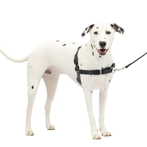 PetSafe Easy Walk Hundegeschirr, kein Ziehen, perfekt für Leinen- und Geschirr-Training, verhindert, DASS Haustiere bei Spaziergängen ziehen und ersticken – Größe M/L, Anthrazit/Schwarz PetSafe Easy Walk Hundegeschirr, kein Ziehen, perfekt für Leinen- und Geschirr-Training, verhindert, DASS Haustiere bei Spaziergängen ziehen und ersticken – Größe M/L, Anthrazit/Schwarz von PetSafe