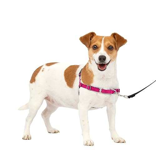 PetSafe Easy Walk Hundegeschirr, kein Ziehen, Himbeere/Grau, Größe S von PetSafe
