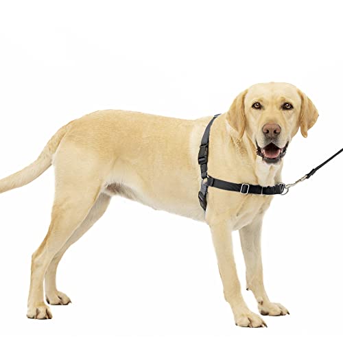 PetSafe Easy Walk Hundegeschirr, kein Ziehen, das ultimative Geschirr, um das Ziehen zu stoppen, übernimmt die Kontrolle und lehrt bessere Manieren der Leine, verhindert das Ziehen von Haustieren bei PetSafe Easy Walk Hundegeschirr, kein Ziehen, das ultimative Geschirr, um das Ziehen zu stoppen, übernimmt die Kontrolle und lehrt bessere Manieren der Leine, verhindert das Ziehen von Haustieren bei von PetSafe