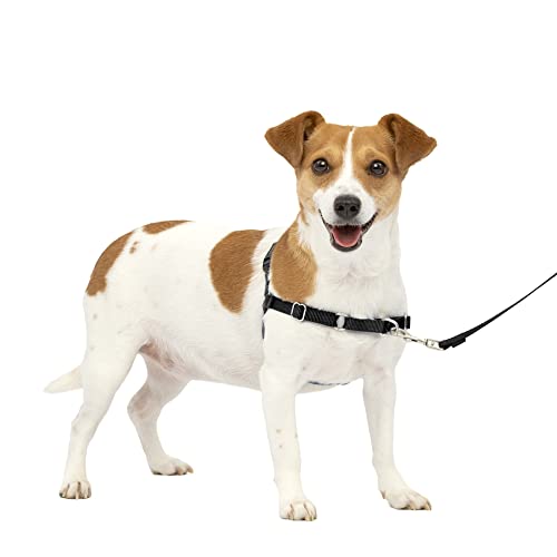 PetSafe Easy Walk Hundegeschirr, kein Ziehen, das ultimative Geschirr, um das Ziehen zu stoppen, übernimmt die Kontrolle und lehrt bessere Manieren der Leine, verhindert das Ziehen von Haustieren bei von PetSafe