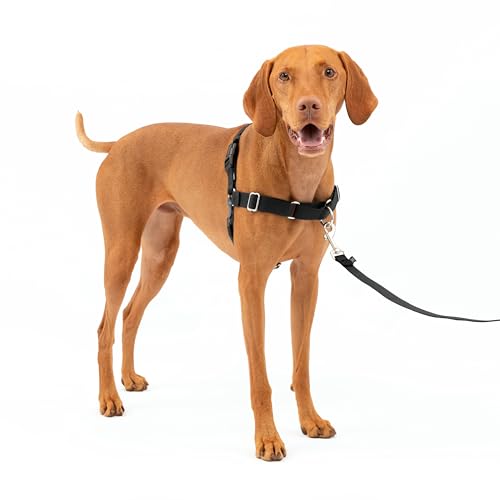 PetSafe Easy Walk Hundegeschirr, kein Ziehen, das ultimative Geschirr hilft, das Ziehen zu stoppen, übernehmen Sie die Kontrolle und Lernen Sie bessere Leinenmaner, mittelgroß, anthrazit/schwarz PetSafe Easy Walk Hundegeschirr, kein Ziehen, das ultimative Geschirr hilft, das Ziehen zu stoppen, übernehmen Sie die Kontrolle und Lernen Sie bessere Leinenmaner, mittelgroß, anthrazit/schwarz von PetSafe