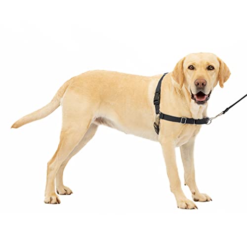 PetSafe Easy Walk-Geschirr, Anti-Zieh-Hundegeschirr, Verringert Würgen und Husten, Mit 1,8 M Leine, Größe L, Schwarz von PetSafe
