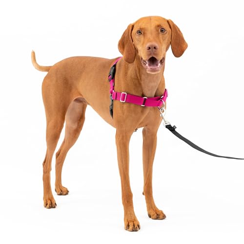 PetSafe Easy Walk-Geschirr, Anti-Zieh-Hundegeschirr, Verringert Würgen und Husten, Mit 1,8 M Leine, Größe M, Rosa PetSafe Easy Walk-Geschirr, Anti-Zieh-Hundegeschirr, Verringert Würgen und Husten, Mit 1,8 M Leine, Größe M, Rosa von PetSafe